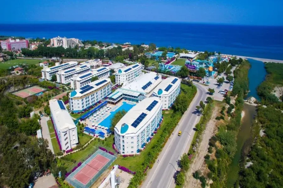 Daima Biz